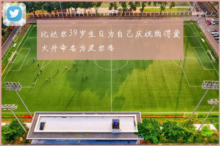 比达尔39岁生日为自己庆祝购得爱犬并命名为皮尔洛